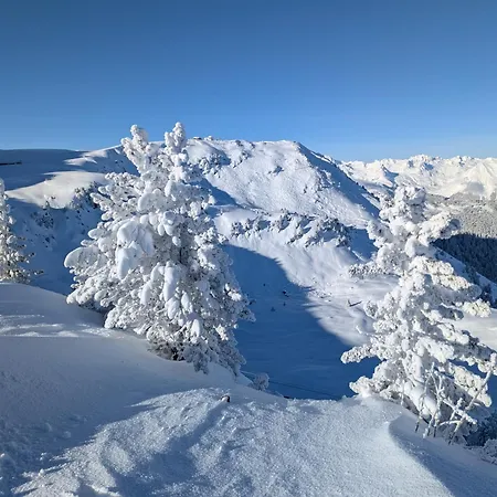 Saboia A Skis Aux Pieds *