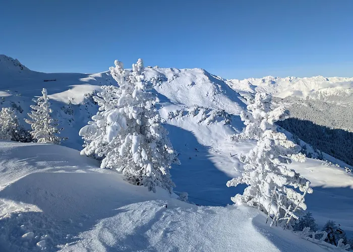 Saboia A Skis Aux Pieds *